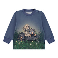 Eloy Sweatshirt - 9679