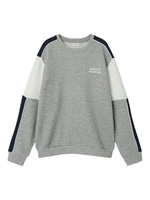 Ricce langærmet sweatshirt - GREY MEL