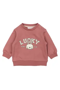 Sweatshirt Pheba - Withered Rose | Kläder - Toppar - Koftor, västar & tröjor | BabyMode