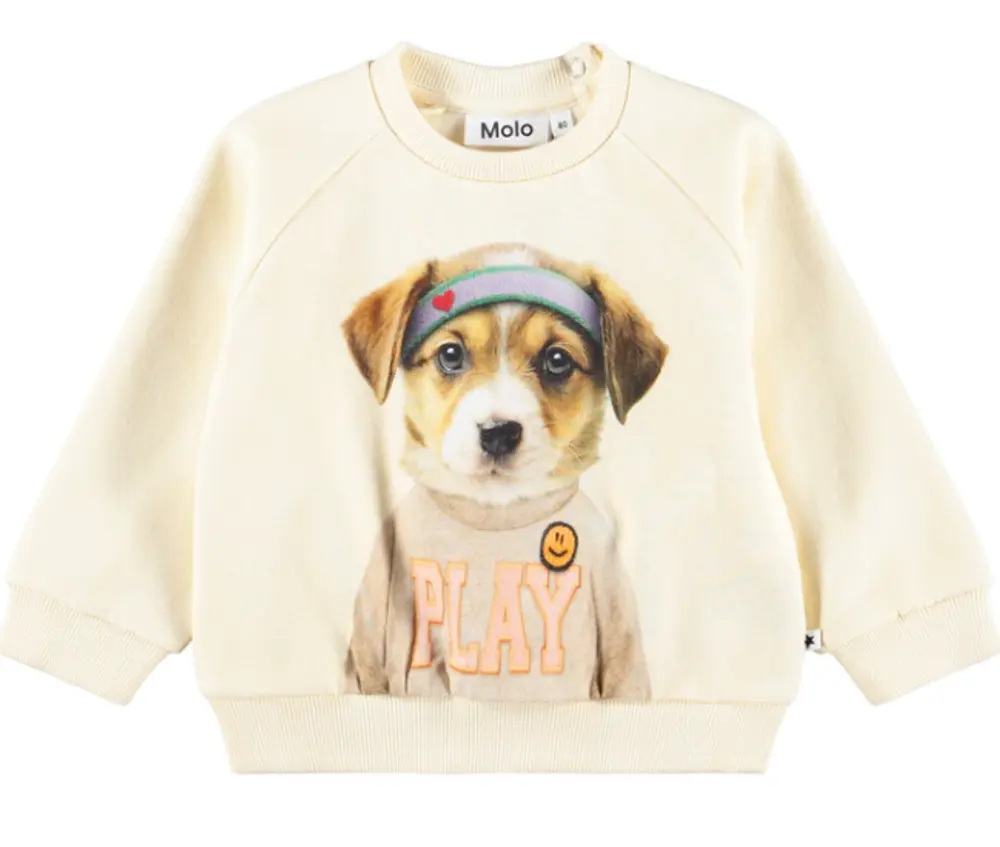 Molo Disc Sweatshirt - Game Pup - 92