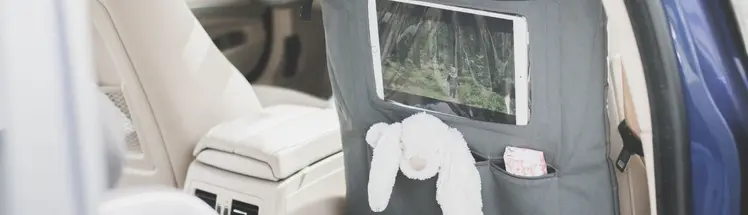 Sätesskydd & prylfickor Fynd