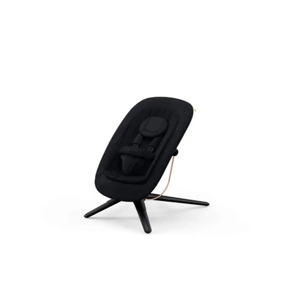 Cybex Platinum Babysitter - Black Wood | Baby & Barn - Babysitter | BabyMode