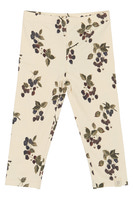 Leggings - BLACKBERRY