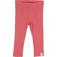 Leggings - LIGHTBERRY