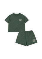 Famo Set - Cilantro