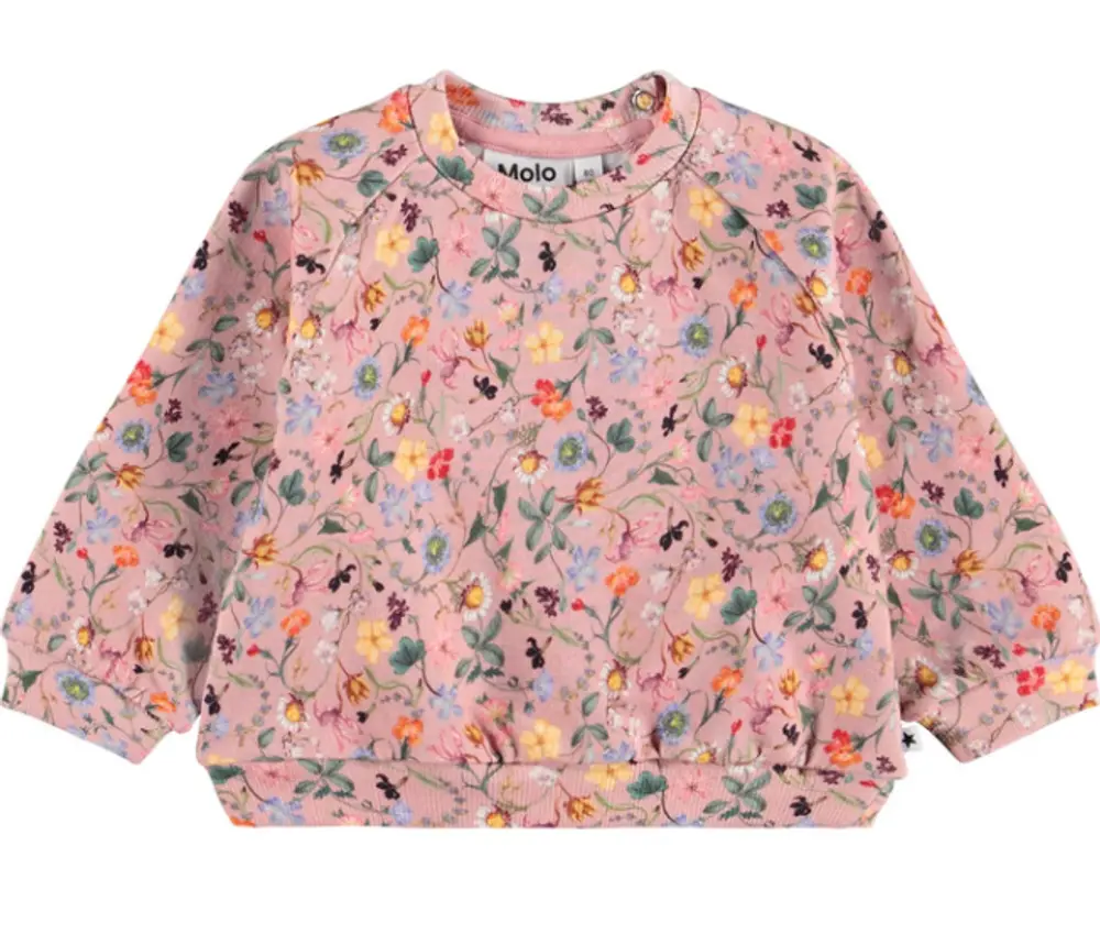 Molo Disc Sweatshirt - Delicate Mini - 62