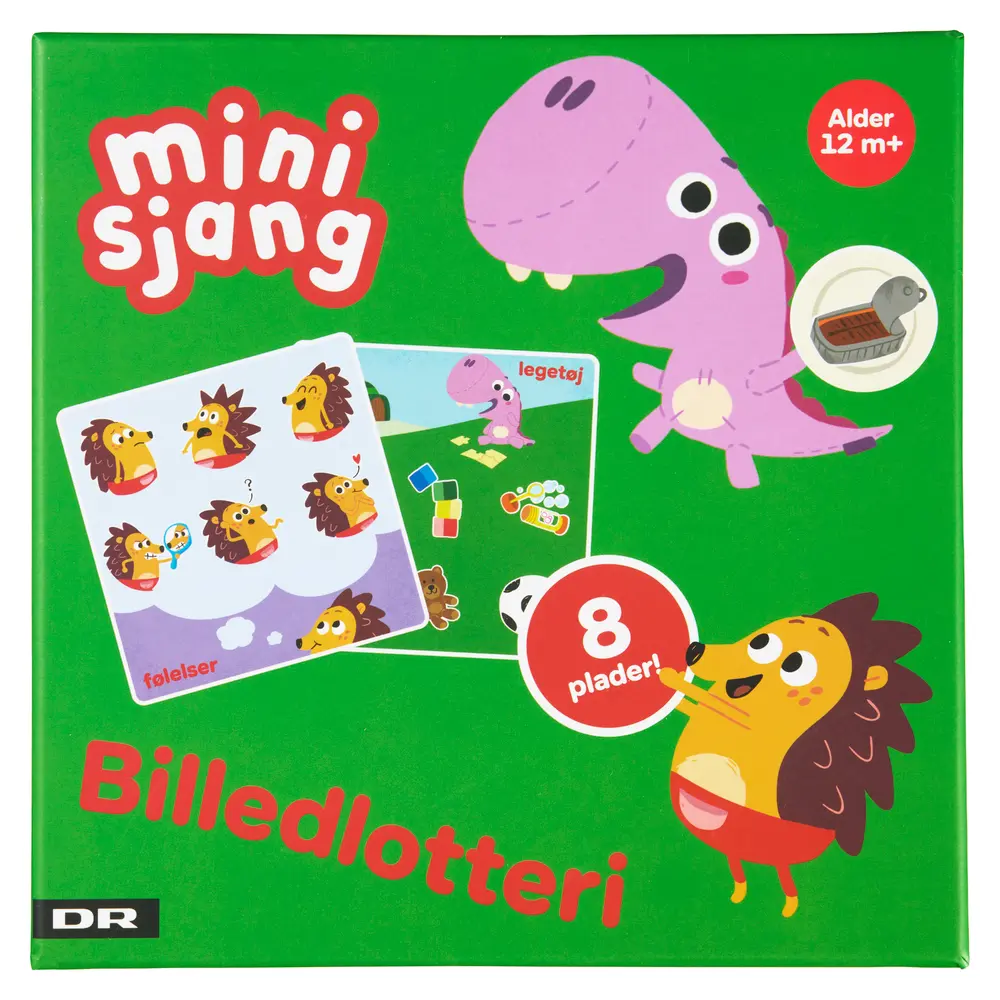 DR Børste Bildlotteri