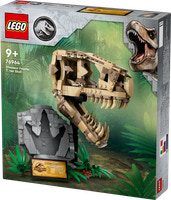 Dinosauriefossiler: T.Rex-Skalle