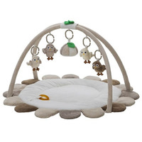 Babygym Baby Owls