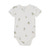 Body SS - 1701