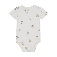 Body SS - 1701