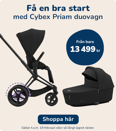 Kolla priset på Cybex Priam duovagnar