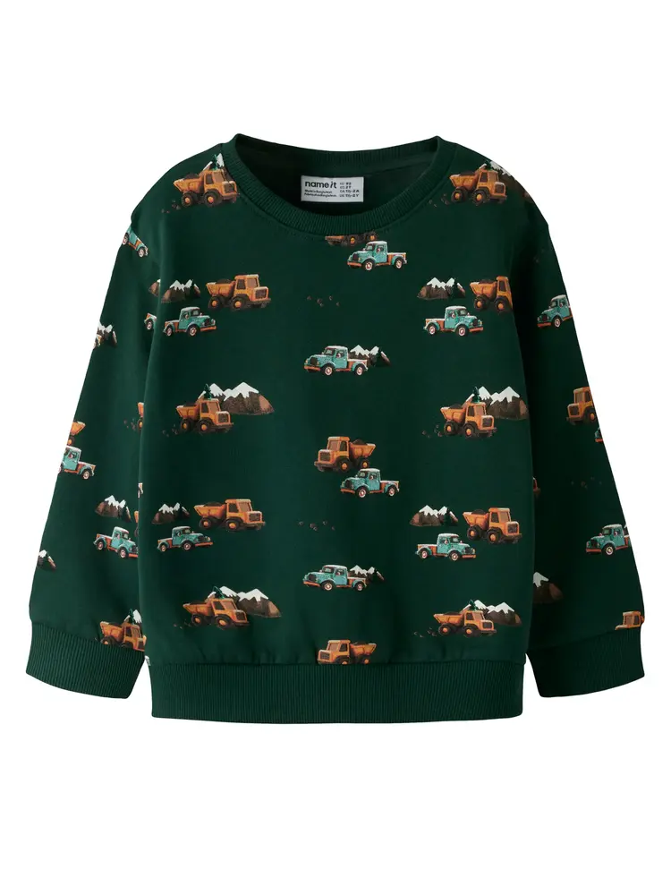 Name It Onikian Sweatshirt - Pine Grove - 116
