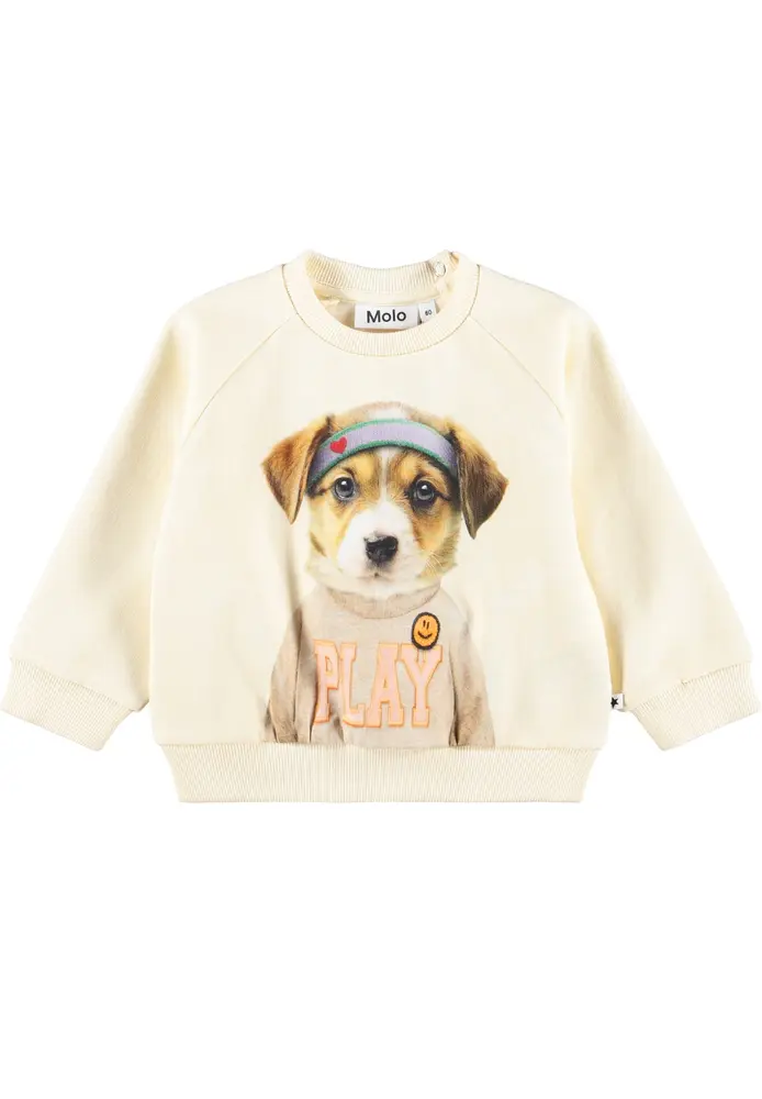Molo Disc Sweatshirt - Game Pup - 62 | Barnkläder - Toppar - Koftor, västar & tröjor | BabyMode