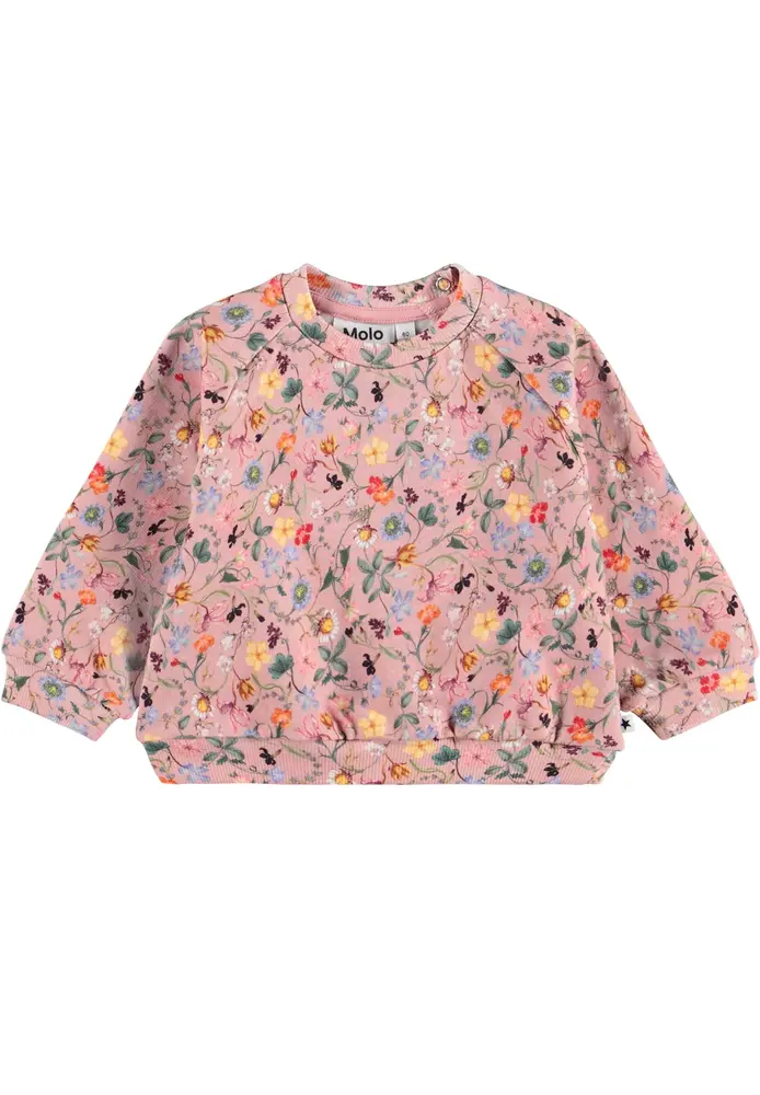 Molo Disc Sweatshirt - Delicate Mini - 62