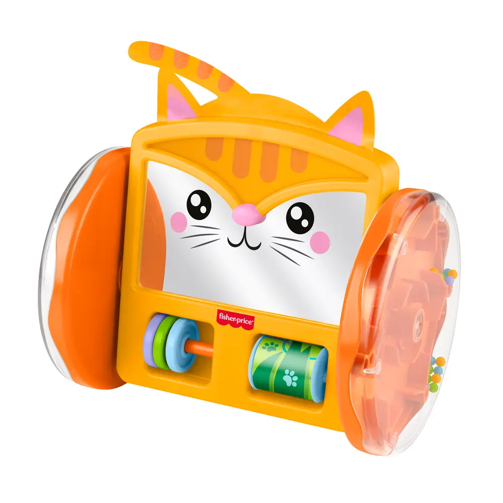 Husdjur Kryp & Lek Katt Spegel