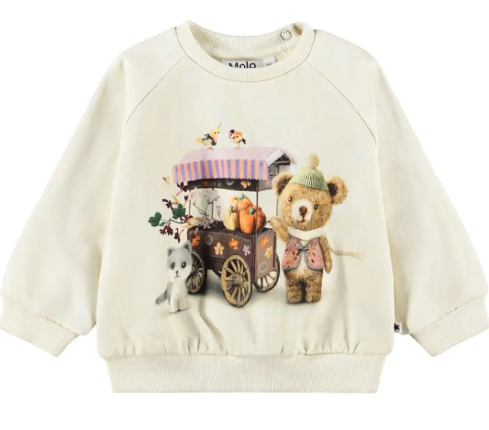 Molo Disc Sweatshirt - Flower Market - 104