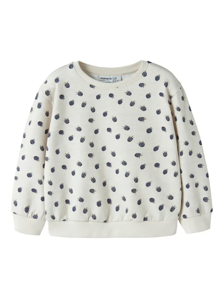 Name It Omer Sweatshirt - Peyote Melange - 92
