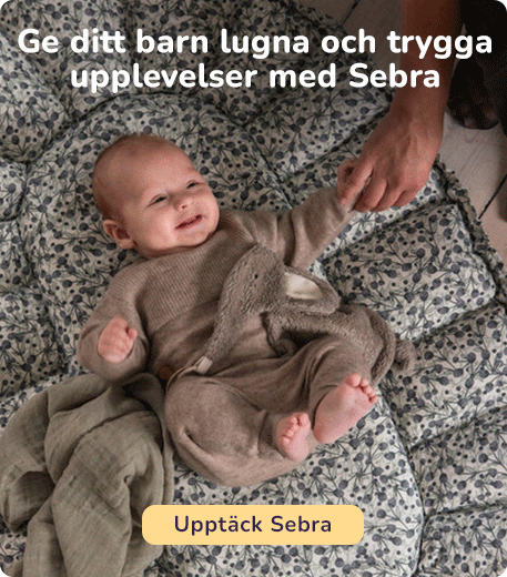 Upptäck Sebra!