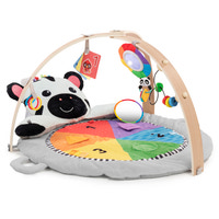 Babygym Zen's Activity Milestones