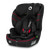 Levi I-size - Sporty Black