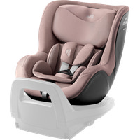 Dualfix 5Z 2024 - Dusty Rose