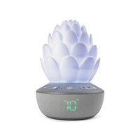Succulent Nattlampa Med Gråtsensor
